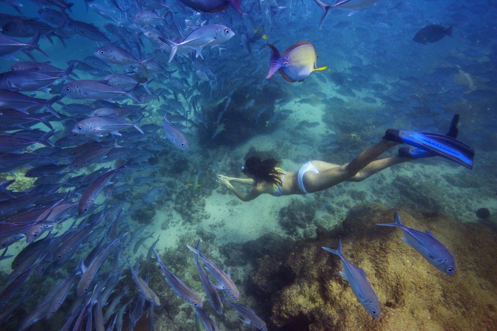 Why is Costa Rica a Green Destination? 2 Caño Island Snorkeling Tour