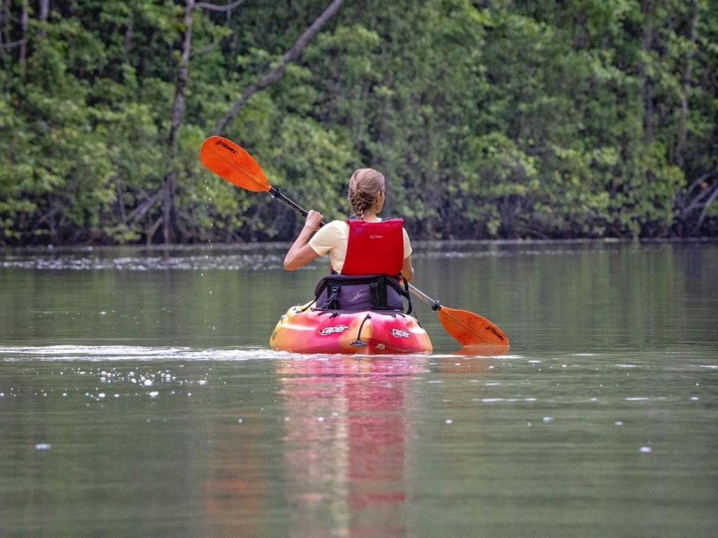 Why We Need to Protect the World’s Mangrove Forests 4 Rio esquinas Mangrove