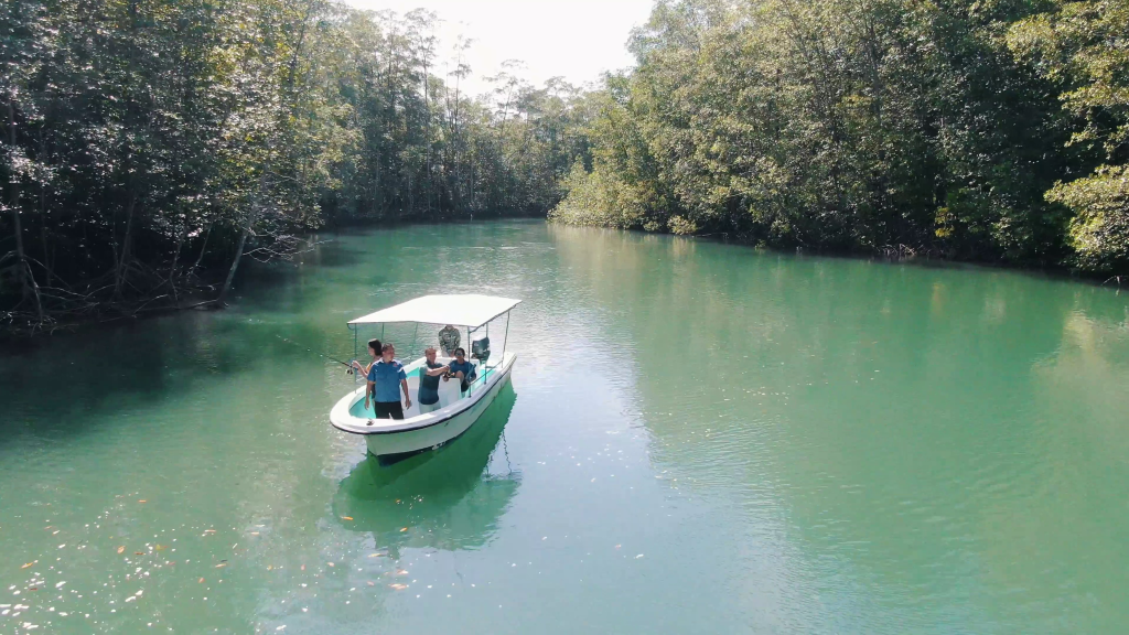 Why We Need to Protect the World’s Mangrove Forests 2 Damas Mangrove Fishing tour