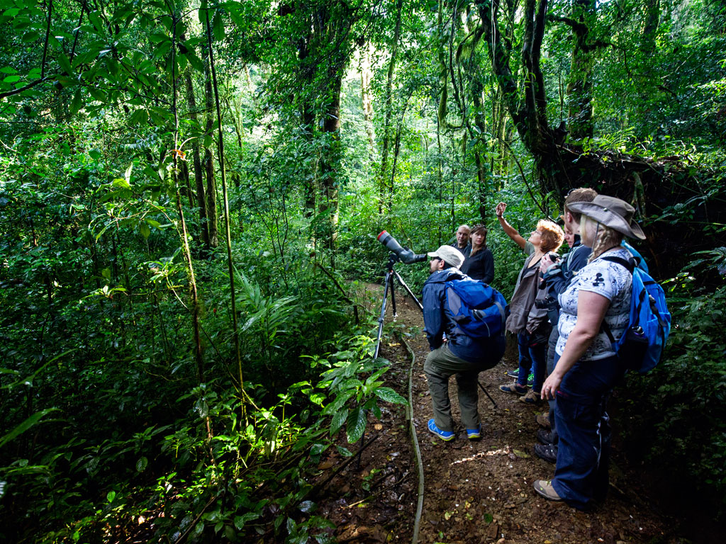 12 Facts About Costa Rica's Rainy Season 2 Monteverde reserve