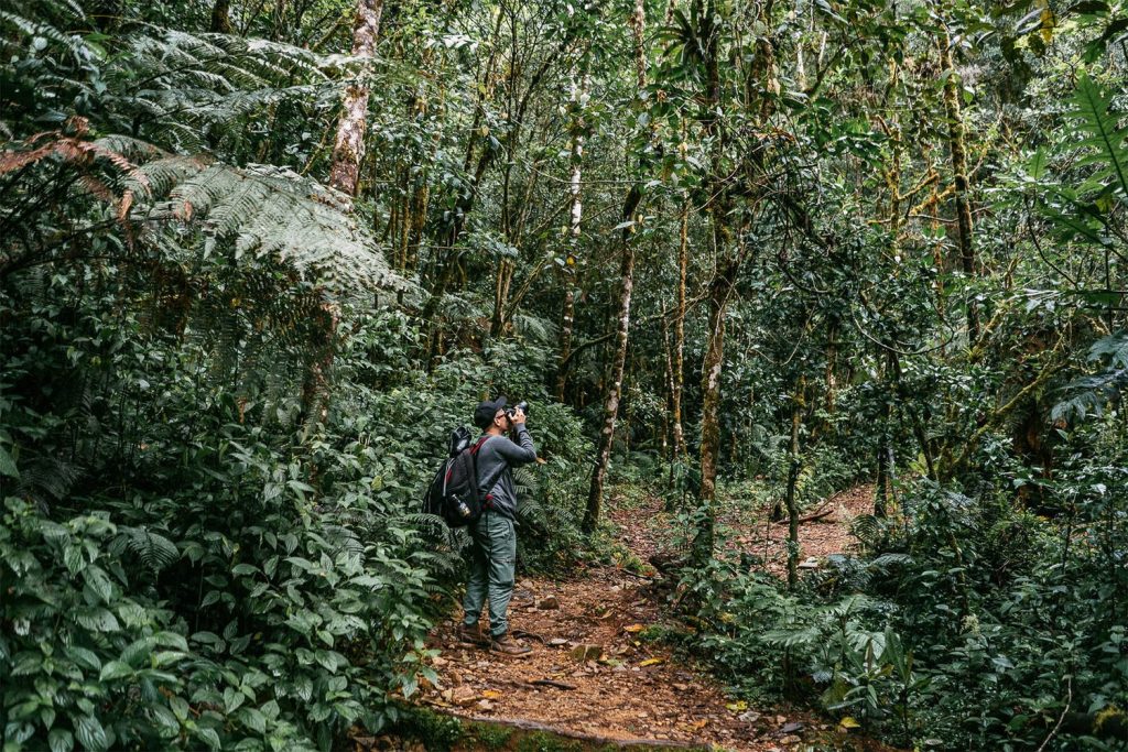 When is the best time to visit Costa Rica? 2 Paramo Tour in San Gerardo de Dota