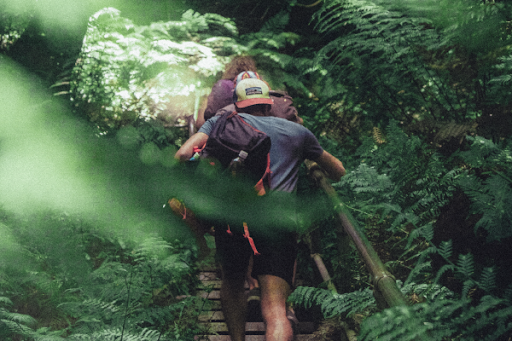 Hike in Nosara Biological Reserve