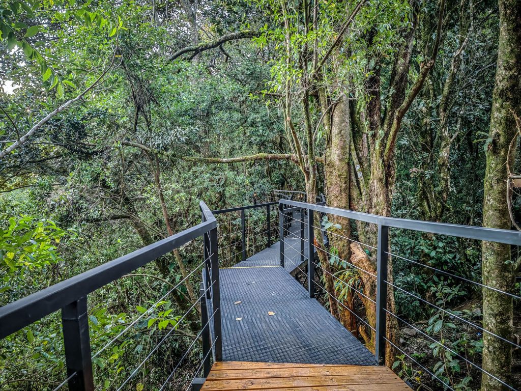 Costa Rica Rainy Season Travel: Why the Green Season is Ideal for Nature Lovers and Seniors 6 Cloud Forest Lodge