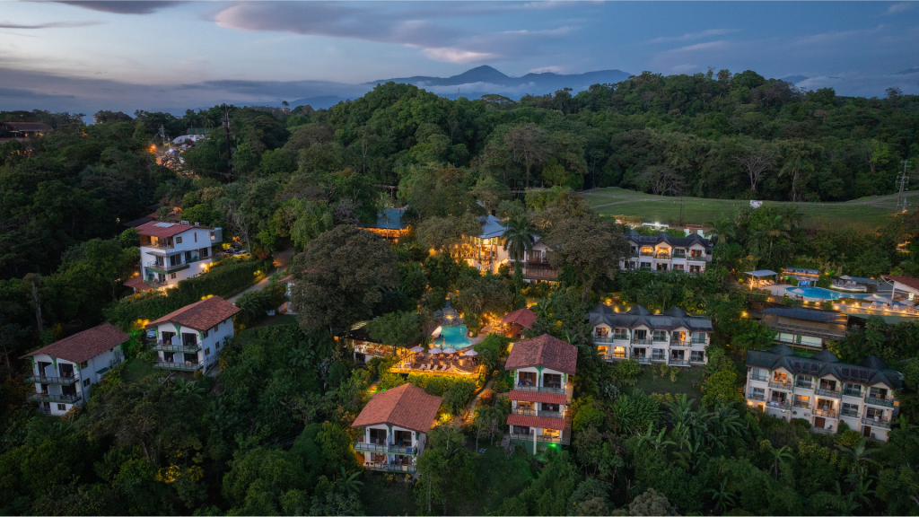 aerial view