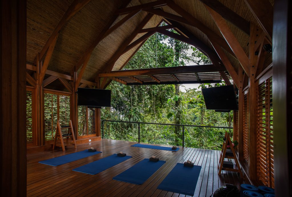 An open-air yoga pavilion with blue mats laid out on a wooden floor, offering an immersive view into the surrounding jungle.