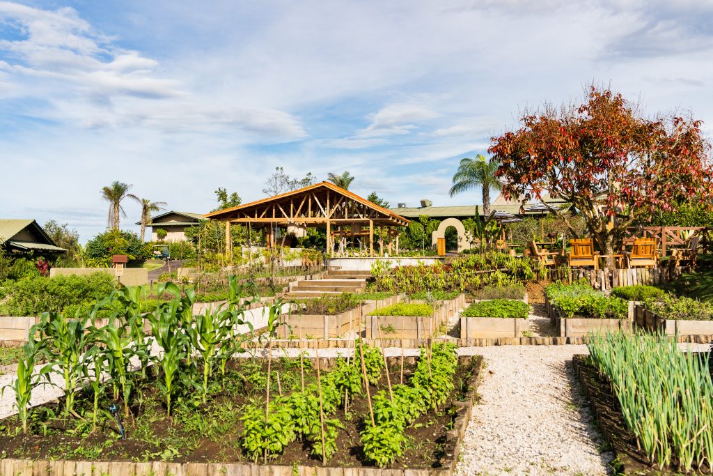 garden