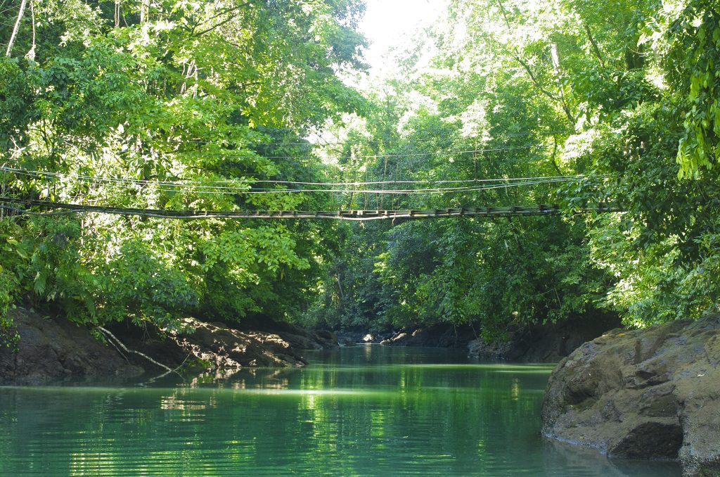 bridge
