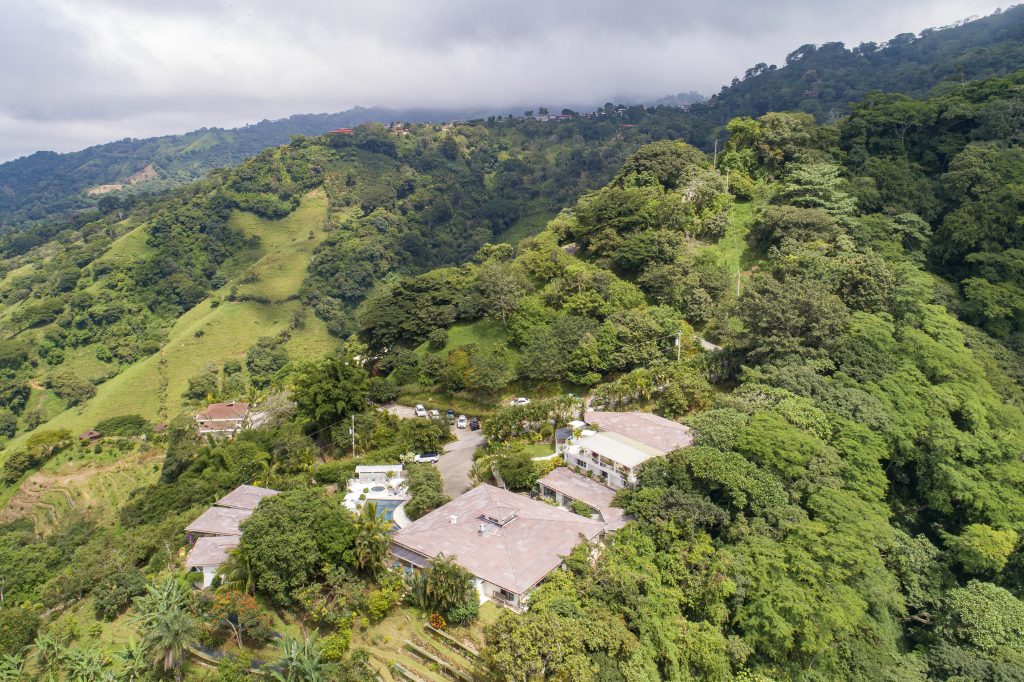 aerial view