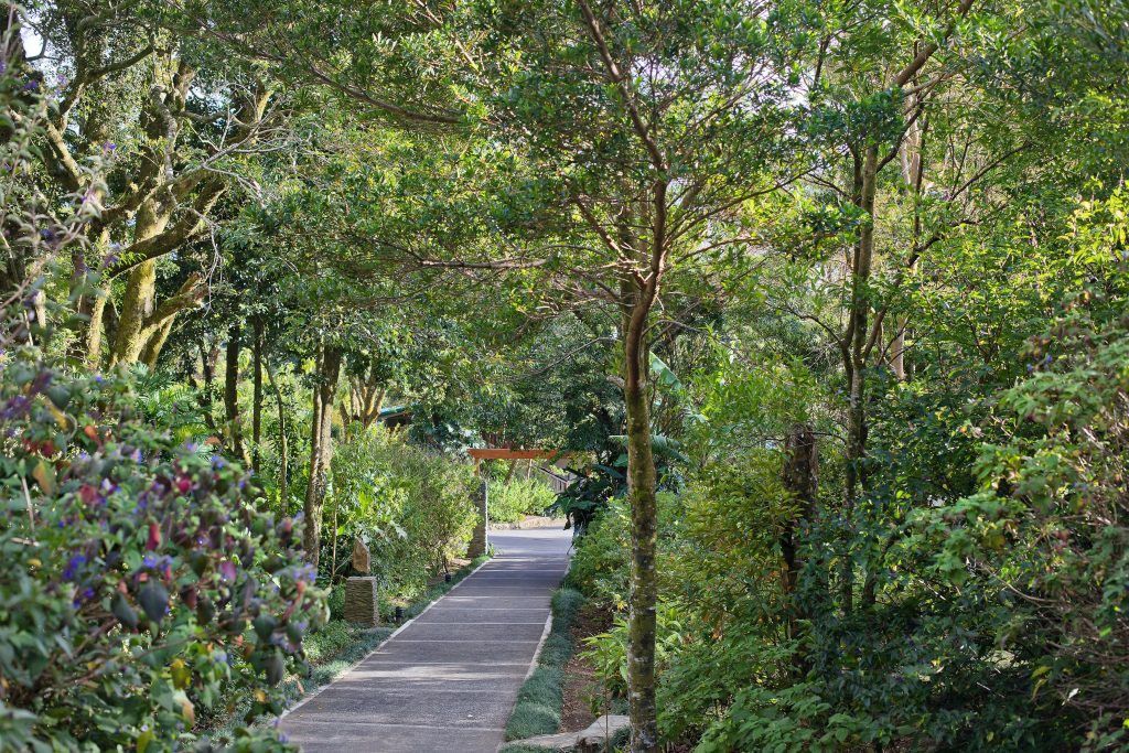 Hotel trails