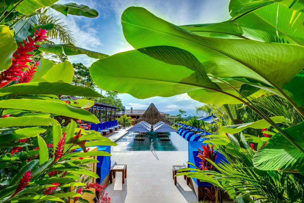 Nayara Springs pool