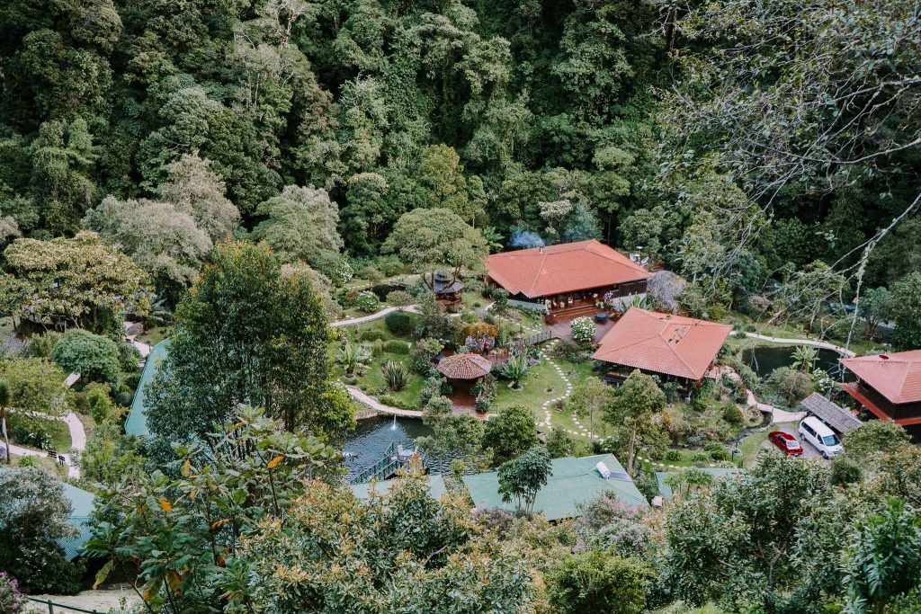 aerial view