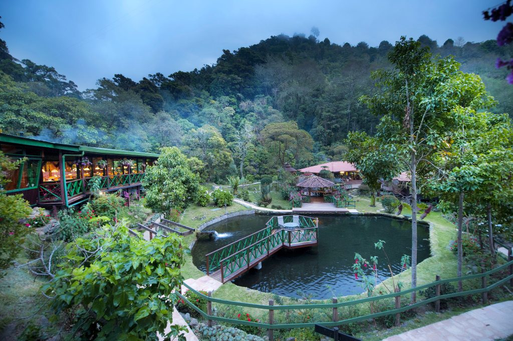 hotel garden