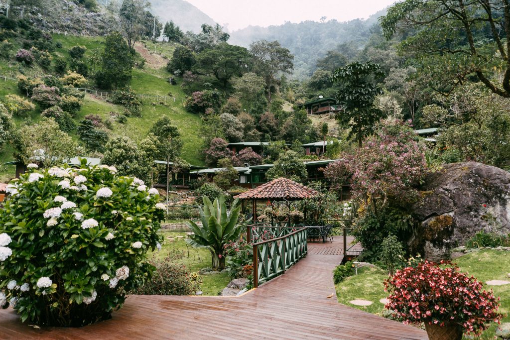 hotel gardens