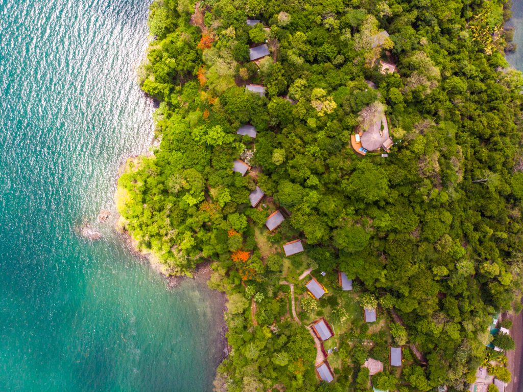 aerial view