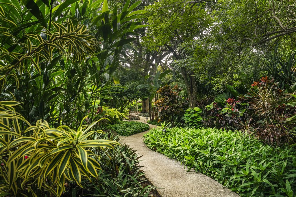 garden