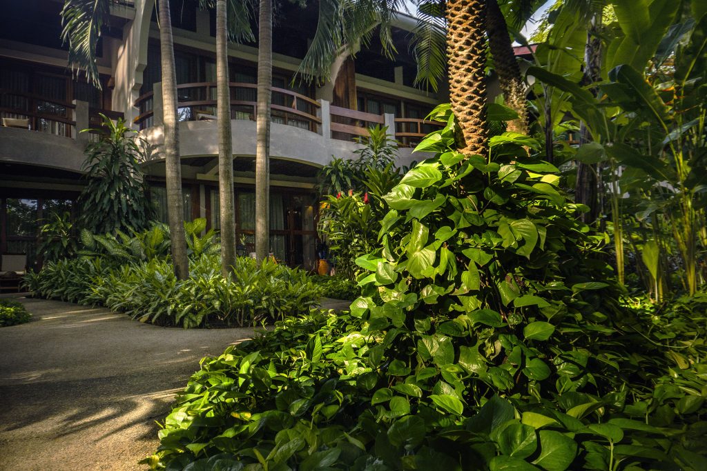 garden