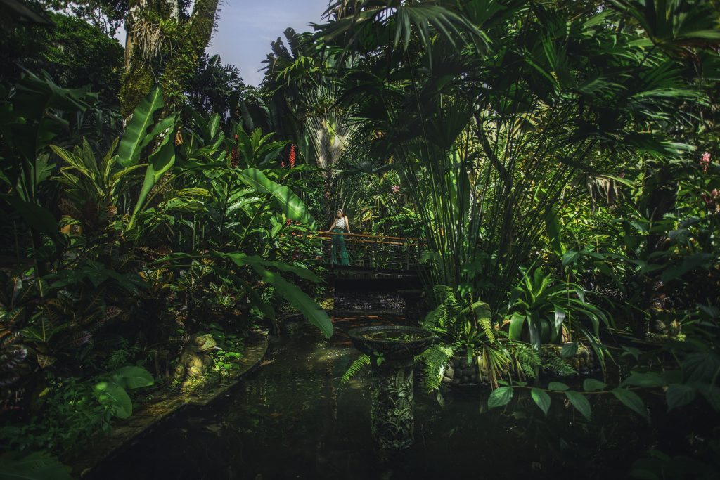Trails in resort