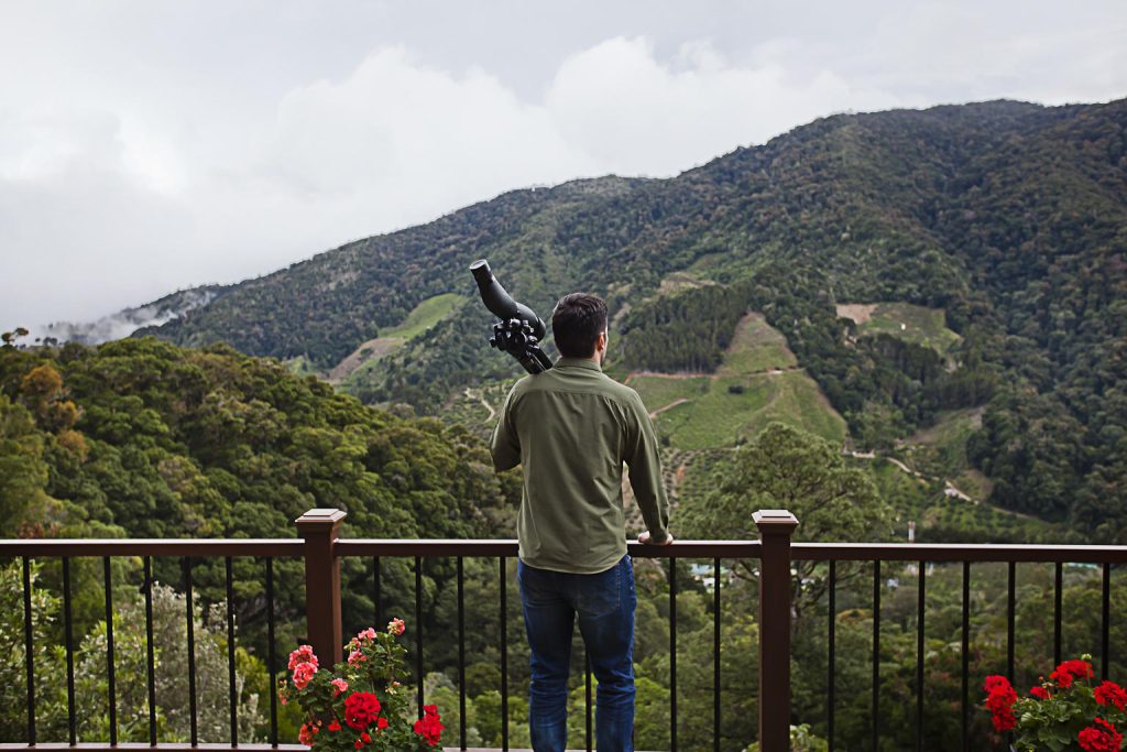 viewpoint