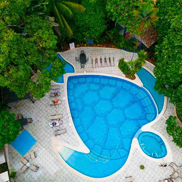 aerial of turtle shaped pool