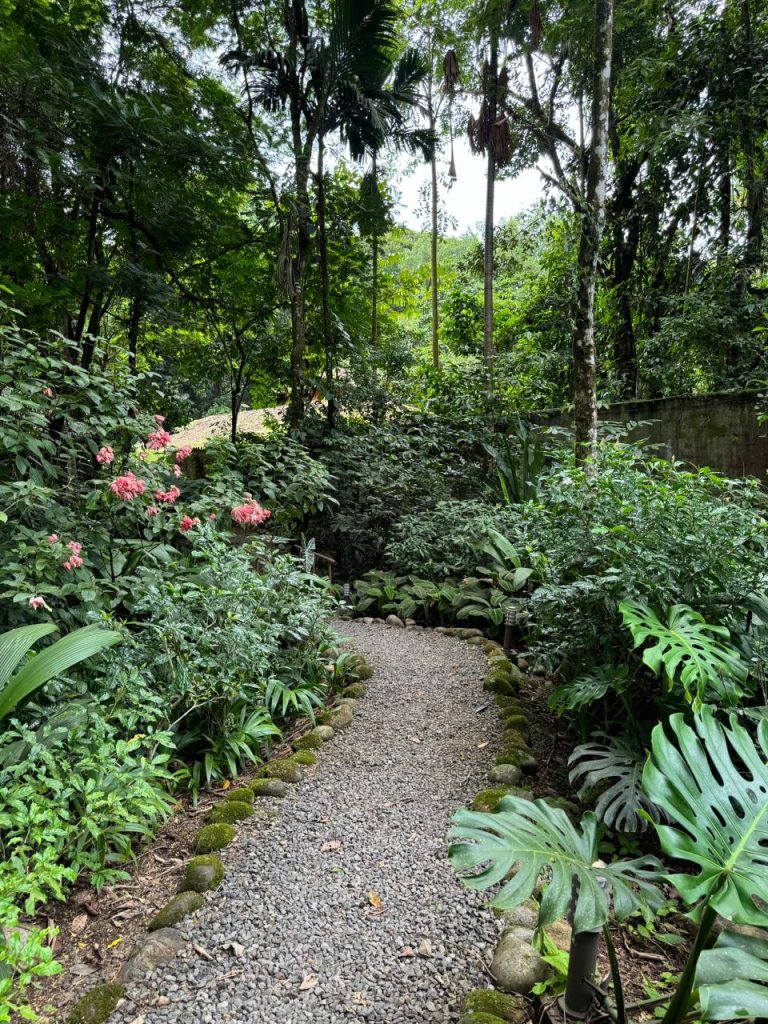 trails