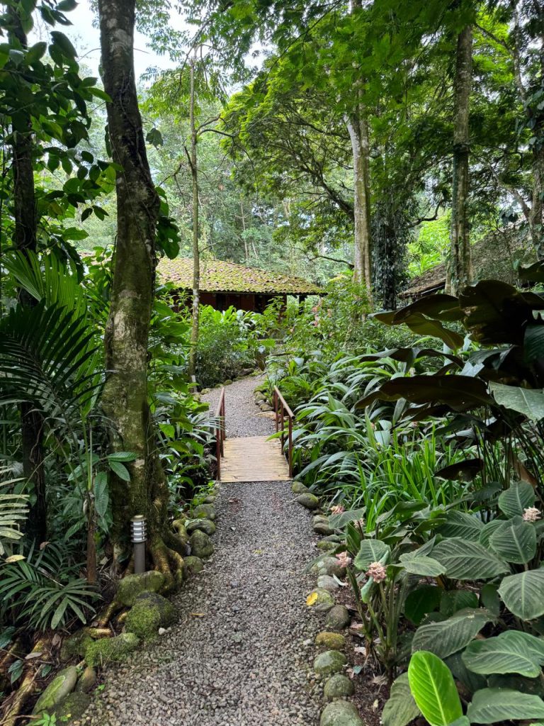 hotel trails