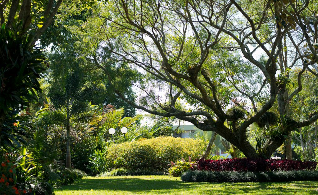 gardens