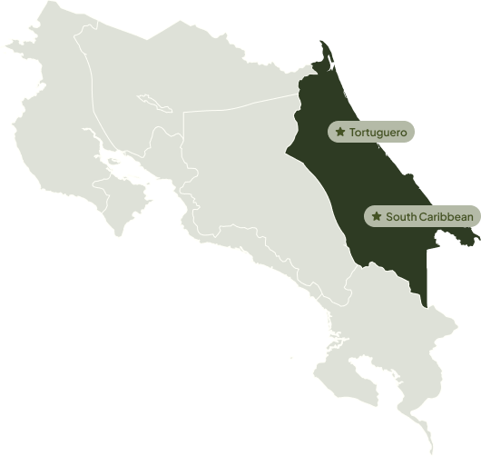 Tortuguero and South Caribbean Map