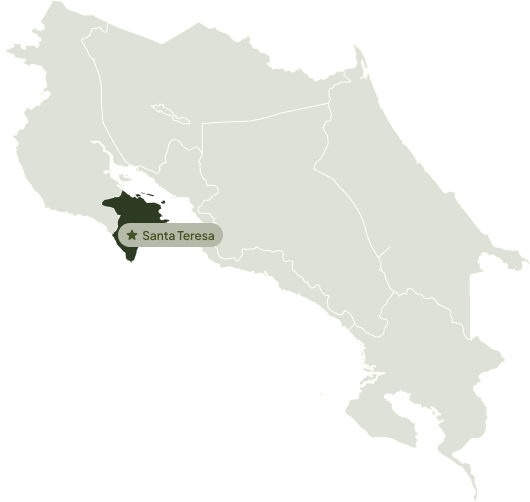 Nicoya Peninsula Map