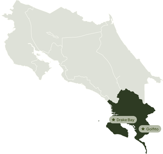 Osa Peninsula Map