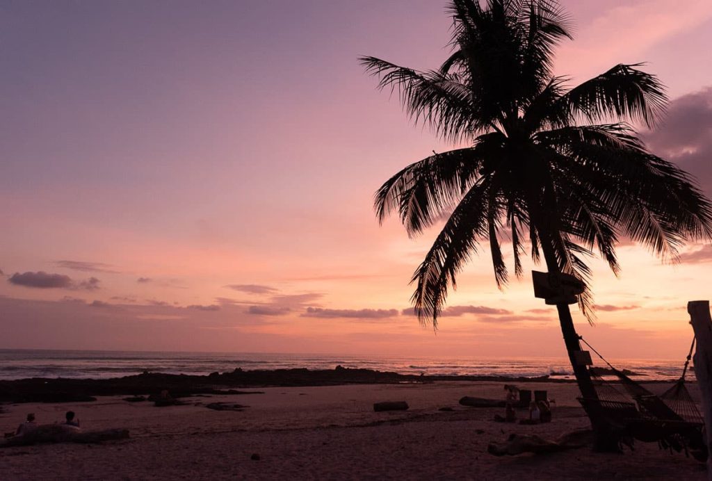 A breathtaking tropical sunset at Santa Teresa beach with silhouetted palm trees, a relaxing end to a day with Horizontes Nature Experiences.