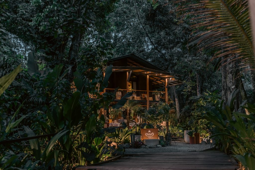 Illuminated luxury suites of Awā Beachfront Hotel at night, nestled in the tropical jungle of Punta Uva.