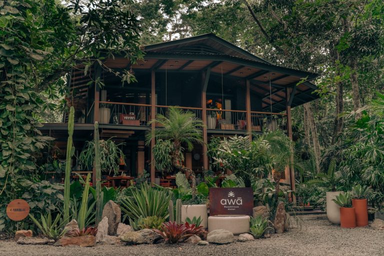 Exterior view of Awā Beachfront Hotel in Puerto Viejo, a boutique jungle sanctuary in Costa Rica.